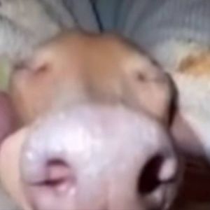 Meet your Posher, Derek